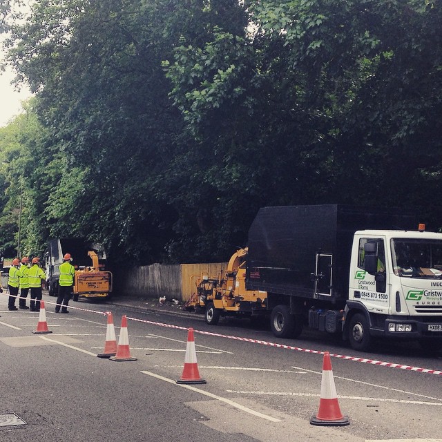 Two-Way Traffic Light set up today for Tree Surgeons #trafficmanagement #treesurgery #london
