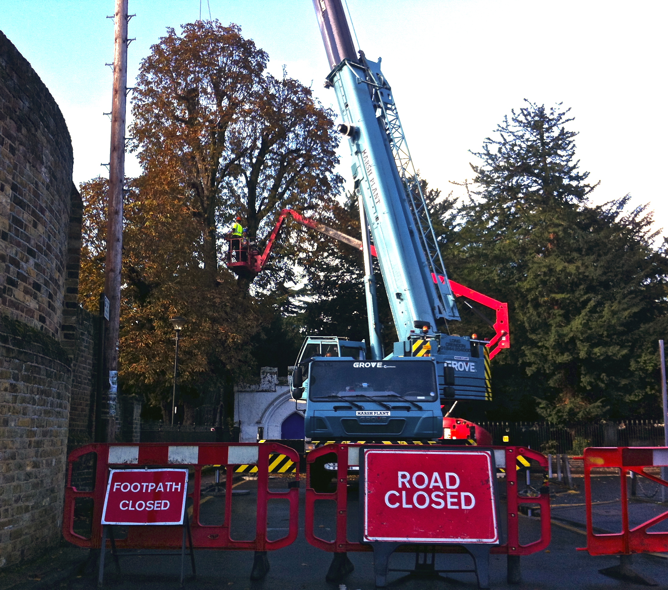 Road Closure for a Crane for Tree Surgery