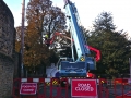 Road Closure for a Crane for Tree Surgery